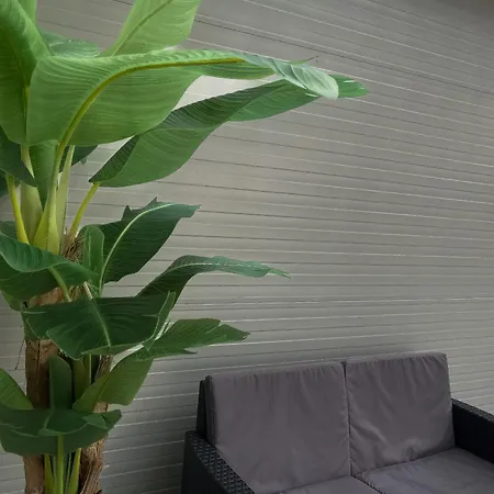 Alissa Nocleg ze śniadaniem 4*