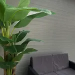Alissa Bed & Breakfast 4*