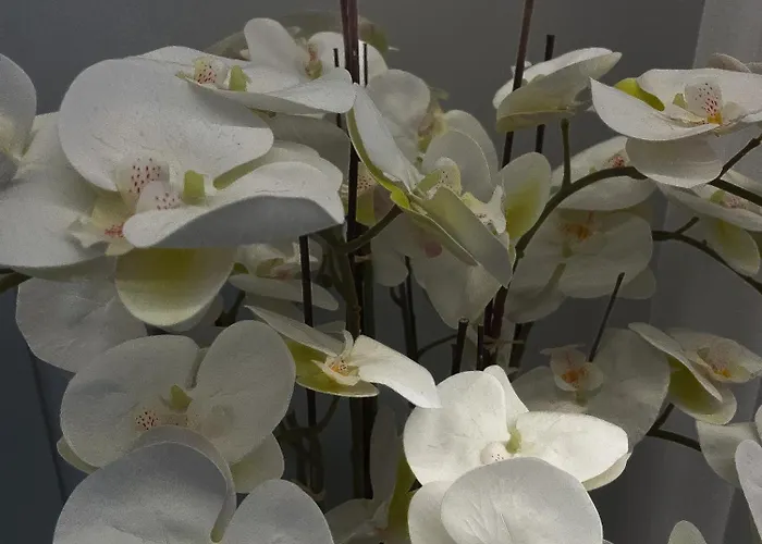 Alissa לינה וארוחת בוקר רומא